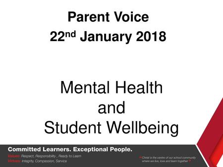 Mental Health and Student Wellbeing