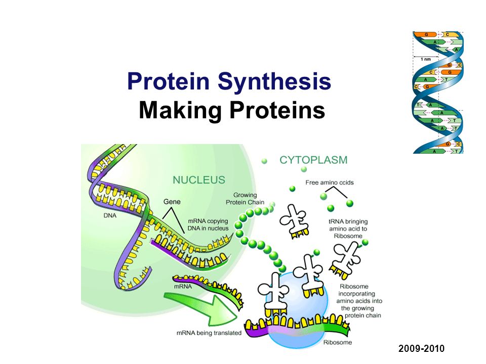 epub putting biotechnology