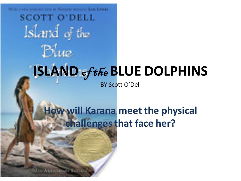 Island Blue Dolphins Scott O Dell 106