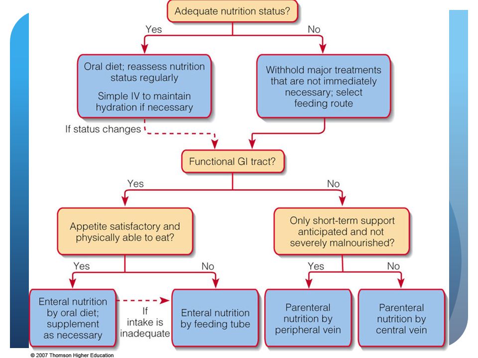 download the ethics of ontology