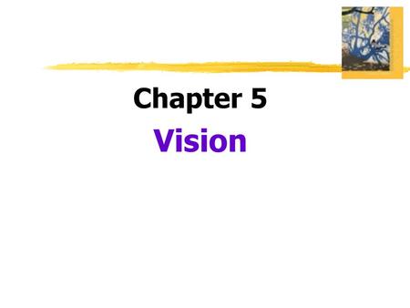Chapter 5 Vision.