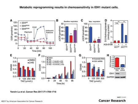 Metabolic reprogramming results in chemosensitivity in IDH1 mutant cells. Metabolic reprogramming results in chemosensitivity in IDH1 mutant cells. A,