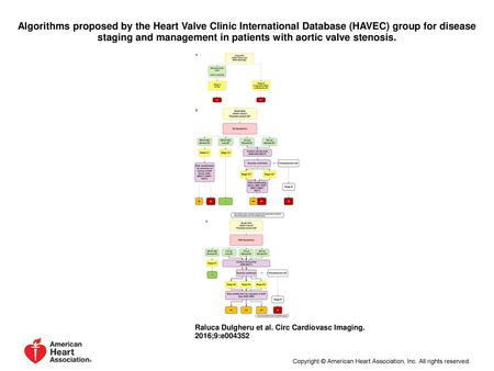 Algorithms proposed by the Heart Valve Clinic International Database (HAVEC) group for disease staging and management in patients with aortic valve stenosis.