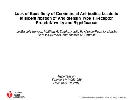 Lack of Specificity of Commercial Antibodies Leads to Misidentification of Angiotensin Type 1 Receptor ProteinNovelty and Significance by Marcela Herrera,