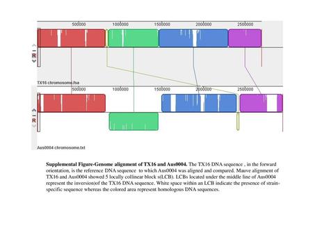 Supplemental Figure-Genome alignment of TX16 and Aus0004