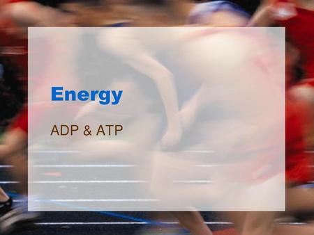 Energy ADP & ATP.