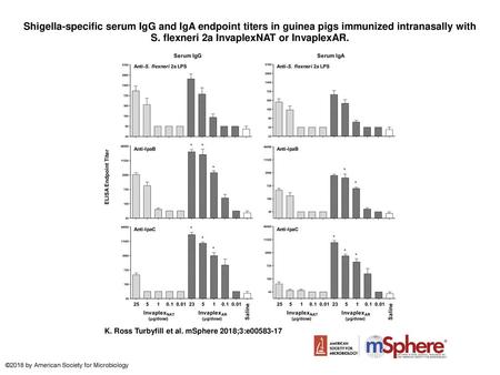 Shigella-specific serum IgG and IgA endpoint titers in guinea pigs immunized intranasally with S. flexneri 2a InvaplexNAT or InvaplexAR. Shigella-specific.