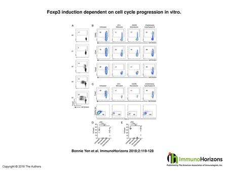 Foxp3 induction dependent on cell cycle progression in vitro.