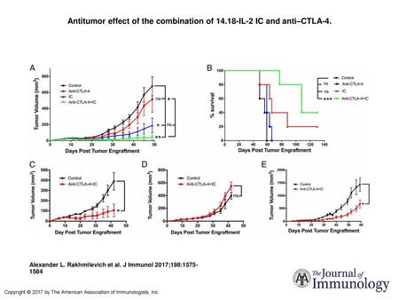 Antitumor effect of the combination of IL-2 IC and anti–CTLA-4.