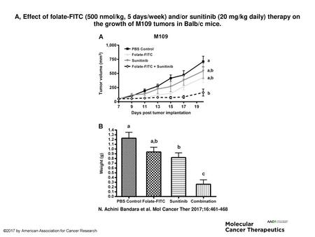 A, Effect of folate-FITC (500 nmol/kg, 5 days/week) and/or sunitinib (20 mg/kg daily) therapy on the growth of M109 tumors in Balb/c mice. A, Effect of.
