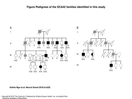 Figure Pedigrees of the SCA42 families identified in this study