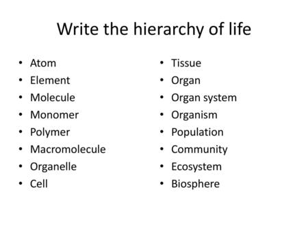 Write the hierarchy of life