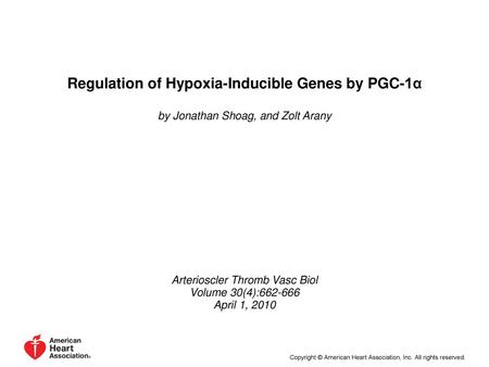 Regulation of Hypoxia-Inducible Genes by PGC-1α