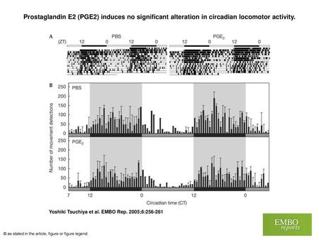 Prostaglandin E2 (PGE2) induces no significant alteration in circadian locomotor activity. Prostaglandin E2 (PGE2) induces no significant alteration in.