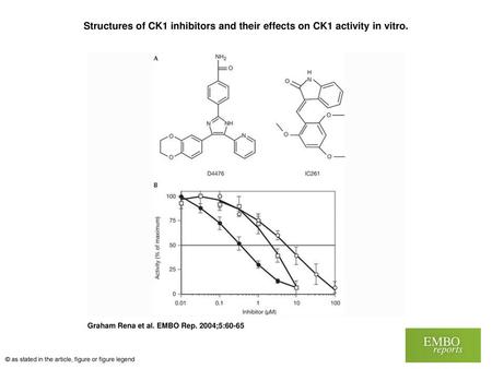Structures of CK1 inhibitors and their effects on CK1 activity in vitro. Structures of CK1 inhibitors and their effects on CK1 activity in vitro. (A) Structures.