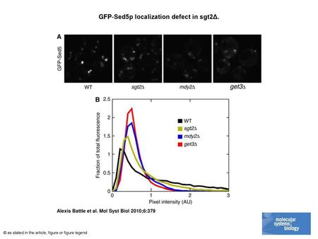 GFP‐Sed5p localization defect in sgt2Δ.