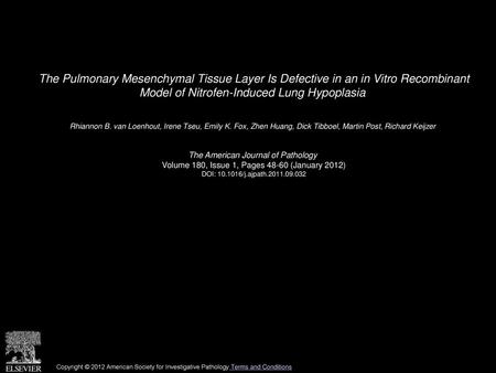 The Pulmonary Mesenchymal Tissue Layer Is Defective in an in Vitro Recombinant Model of Nitrofen-Induced Lung Hypoplasia  Rhiannon B. van Loenhout, Irene.