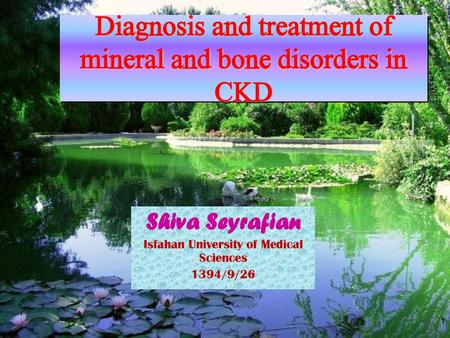 Diagnosis and treatment of mineral and bone disorders in CKD