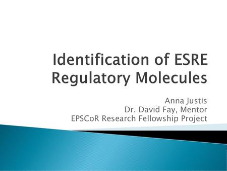 Identification of ESRE Regulatory Molecules