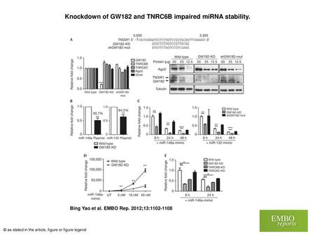 Knockdown of GW182 and TNRC6B impaired miRNA stability.