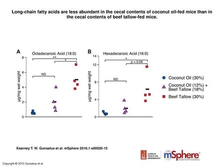 Long-chain fatty acids are less abundant in the cecal contents of coconut oil-fed mice than in the cecal contents of beef tallow-fed mice. Long-chain fatty.