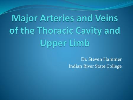 Major Arteries and Veins of the Thoracic Cavity and Upper Limb