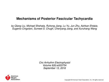 Mechanisms of Posterior Fascicular Tachycardia