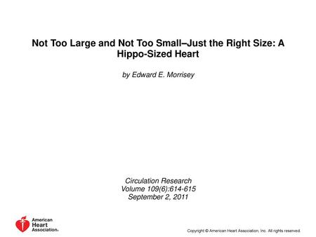by Edward E. Morrisey Circulation Research Volume 109(6):