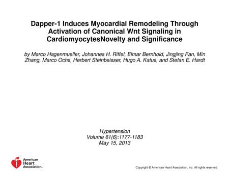 Dapper-1 Induces Myocardial Remodeling Through Activation of Canonical Wnt Signaling in CardiomyocytesNovelty and Significance by Marco Hagenmueller, Johannes.