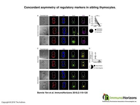 Concordant asymmetry of regulatory markers in sibling thymocytes.