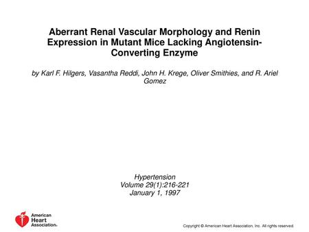 Aberrant Renal Vascular Morphology and Renin Expression in Mutant Mice Lacking Angiotensin-Converting Enzyme by Karl F. Hilgers, Vasantha Reddi, John H.