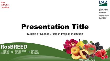 Subtitle or Speaker, Role in Project, Institution