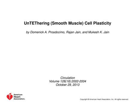UnTEThering (Smooth Muscle) Cell Plasticity