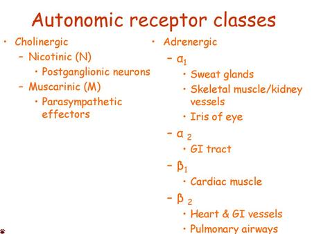 Autonomic receptor classes