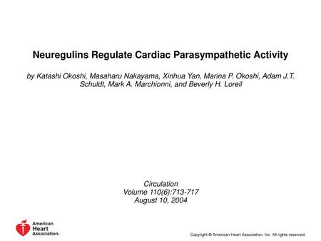 Neuregulins Regulate Cardiac Parasympathetic Activity