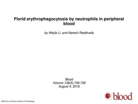 Florid erythrophagocytosis by neutrophils in peripheral blood
