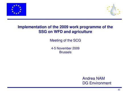 Implementation of the 2009 work programme of the