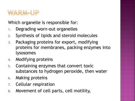 Warm-up Which organelle is responsible for: