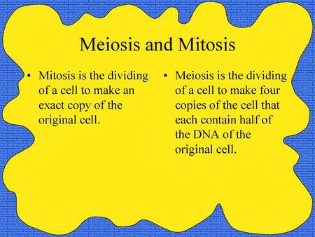 Meiosis and Mitosis Mitosis is the dividing of a cell to make an exact copy of the original cell. Meiosis is the dividing of a cell to make four copies.