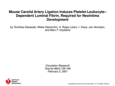 Mouse Carotid Artery Ligation Induces Platelet-Leukocyte–Dependent Luminal Fibrin, Required for Neointima Development by Tomihisa Kawasaki, Mieke Dewerchin,