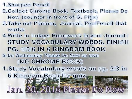 Sharpen Pencil Collect Chrome Book, Textbook, Please Do Now (counter in front of G. Pigs) Take out Planner, Journal, Pen/Pencil that works Write in todays.