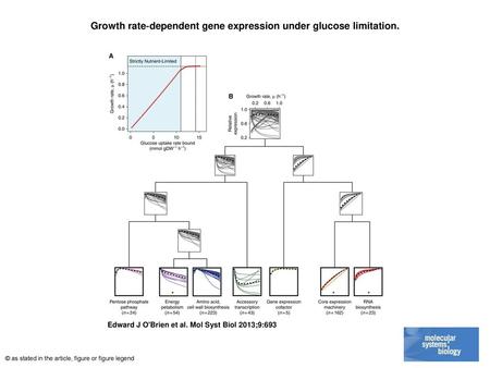 Growth rate‐dependent gene expression under glucose limitation.
