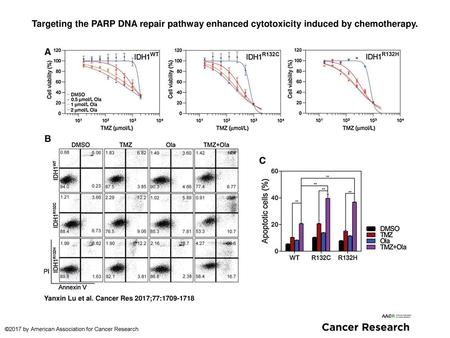 Targeting the PARP DNA repair pathway enhanced cytotoxicity induced by chemotherapy. Targeting the PARP DNA repair pathway enhanced cytotoxicity induced.