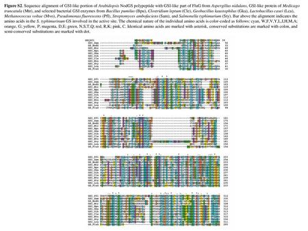 Figure S2. Sequence alignment of GSI-like portion of Arabidopsis NodGS polypeptide with GSI-like part of FluG from Aspergillus nidulans, GSI-like protein.