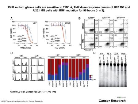 IDH1 mutant glioma cells are sensitive to TMZ