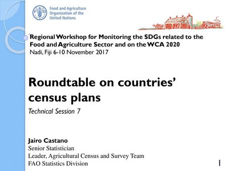 Roundtable on countries’ census plans