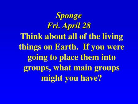 Sponge Fri. April 28 Think about all of the living things on Earth.  If you were going to place them into groups, what main groups might you have?