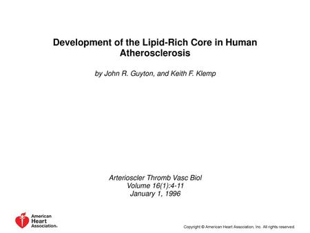Development of the Lipid-Rich Core in Human Atherosclerosis