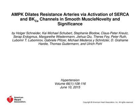 AMPK Dilates Resistance Arteries via Activation of SERCA and BKCa Channels in Smooth MuscleNovelty and Significance by Holger Schneider, Kai Michael Schubert,