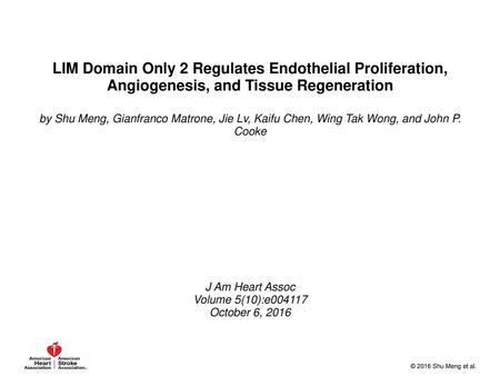LIM Domain Only 2 Regulates Endothelial Proliferation, Angiogenesis, and Tissue Regeneration by Shu Meng, Gianfranco Matrone, Jie Lv, Kaifu Chen, Wing.